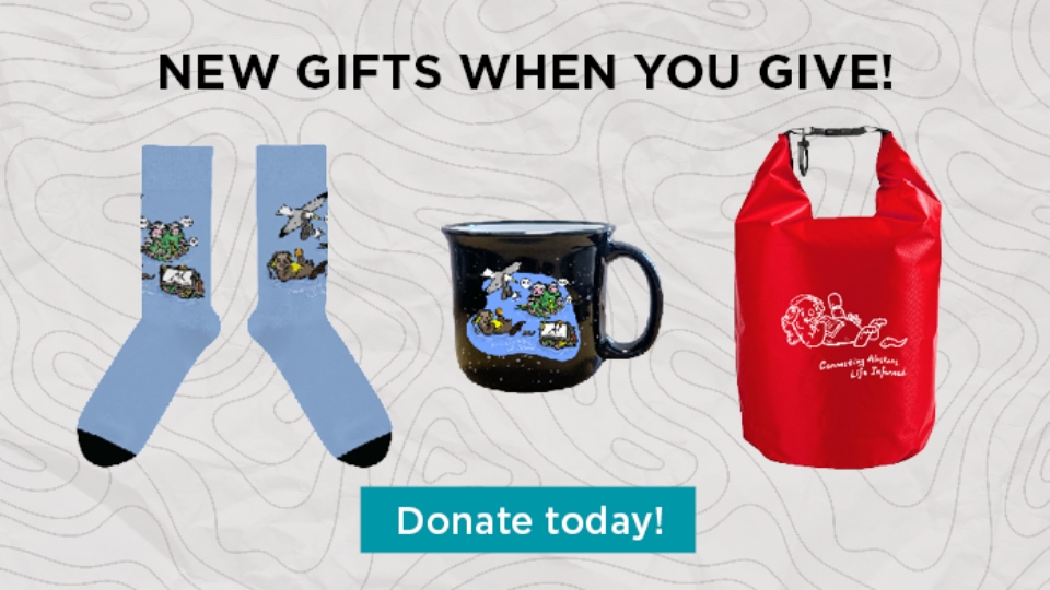 New gifts when you give - donate today!