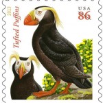 puffin-stamp