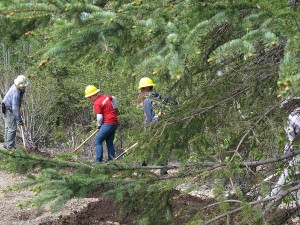 Chugach National Forest Summer Jobs 1