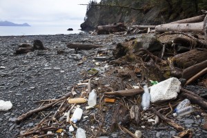 marine debris Resurrection Bay