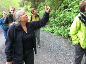 Sitka resident and Tlingit weaver Teri Rofkar takes staff from the National Museum of the American Indian up Blue Lake Road last year. The group was in town for field study, learning about the origins of many of the objects they keep track of in Washington, D.C. (KCAW photo by Ed Ronco)