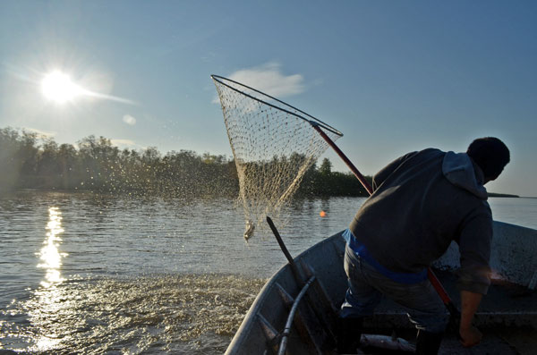 A man holding a net is silhouetted from behind as he looks over the susnny water.  
