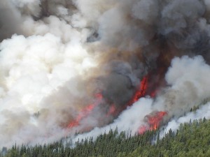The Boundary Fire, the largest fire in 2004, which ended up growing to 554,000 acres by the end of that 2004 summer. Photo by Dave Dallison.