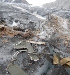 2013 Muldrow cleanup, debris including fish bones, 1947 camp