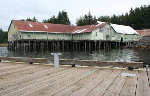 In June the Keku cannery  was listed as one of America’s 11 most endangered historic landmarks by the National Trust for Historic Preservation. Photo by Erik Neumann, KCAW – Sitka.