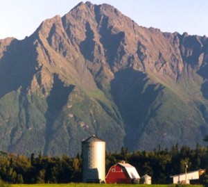 Palmer is home to much of Alaska's limited farmland.