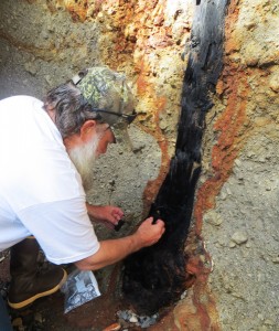 Forest Service Geologist Jim Baichtal samples the charcoal tree found embedded in pumice on Kruzof Island, near Sitka. Photo courtesy of Kitty LaBounty.