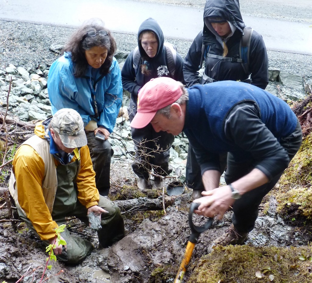 Soil scientist Dave DAmore (right) works with students and anthropology professor Dan Monteith (left) during a dig on the University of Alaska Southeast Juneau campus. Ed Schoenfeld, CoastAlaska.