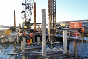 Contractors with Seattle-based Pacific Pile and Marine set a piling in ANB Habor in mid-December. Photo by Rachel Waldholz, KCAW - Sitka.