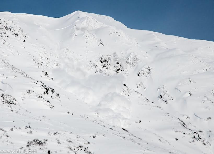 Turnagain Arm avalanche. Photo courtesy Chugach National Forest Avalanche Information Center.