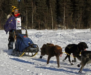 Hugh Neff leaves Willow during the 2014 Iditarod restart. Photo by Josh Edge, APRN - Anchorage.