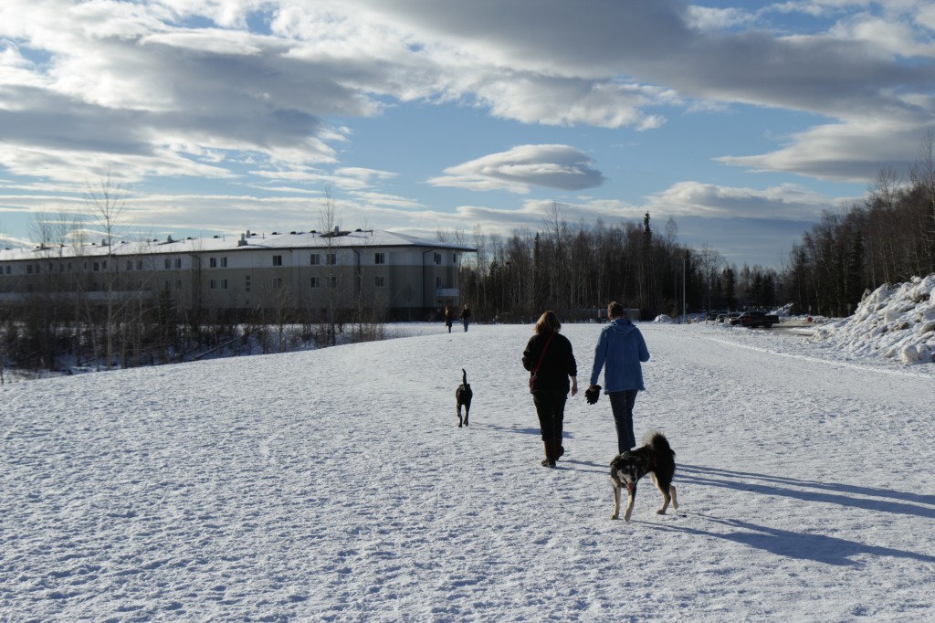 Dog walkers enjoy one of Anchorage's Dog Parks.