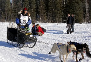 Martin Buser departs Willow at the 2014 Iditarod's official restart. Photo by Josh Edge, APRN - Anchorage.