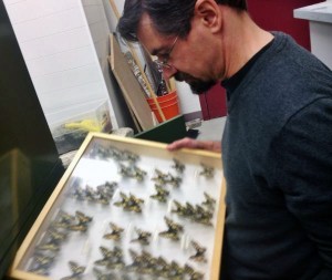 Derek Sikes shows off parts of one of the world's largets butterfly collections. (Photo by Emily Schwing, KUAC - Fairbanks)