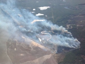A photo of the Tyonek Fire taken on May 19 by the Alaska Division of Forestry.