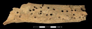 Holes that are evidence of cancer in an ancient skeleton from Sudan. Courtesy Trustees of the British Museum