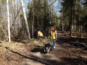 Volunteers haul and clip brush during the Davis Park Fix-It in Mt. View