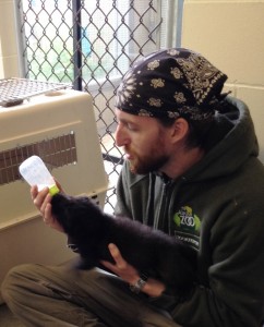 Zookeeper Zach Shoemaker feeds another orphaned pup.