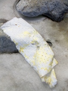 Closeup of absorbent pad collecting product. (Photo courtesy Barret Eningowak, DEC)