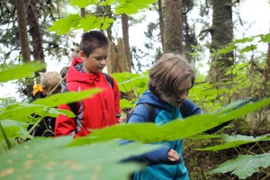 Campers maneuver around the forest of devil’s club surrounding Auke Lake Trail. (Photo by Lisa Phu/KTOO)