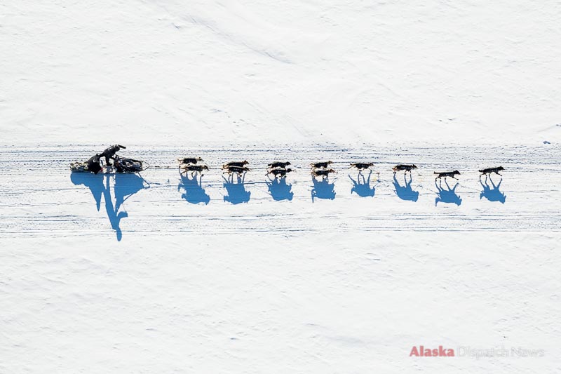 Dallas Seavey mushes on the Yukon River between Ruby and Galena on March 7, 2014. Seavey won his second Iditarod race a few days later.
