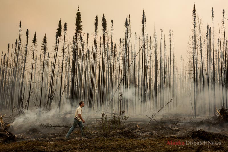 Sam Werner walks a fire line near Browns Lake, looking for hot spots, on Saturday, May 24, 2014. The Funny River fire had burned up to the line three hours before.