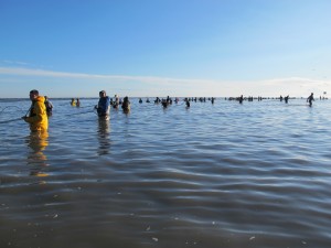 Dipnetters crowd the water on the north shore of the Kenai River. Photo by Annie Feidt.