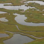 izembek-wetlands