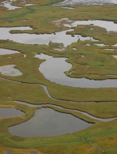 Wetlands in the Izembek NWR. (Kristine Sowl/USFWS)