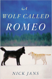 a wolf called romeo
