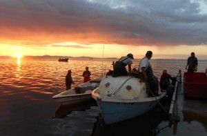 The fishing fleet in Kotzebue Sound. Photo: Jim Menard, Alaska Department of Fish & Game.
