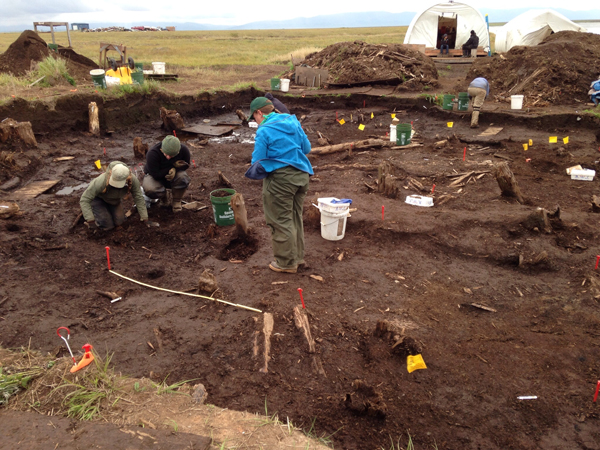 Students from Scotland excavating at the Araliq site. (Photo by Charles, KYUK - Bethel)