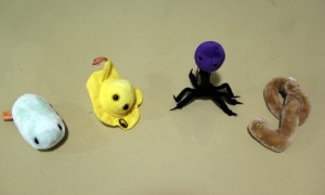 Viruses in plush form, from left to right, influenza, herpes, T4 and ebola.