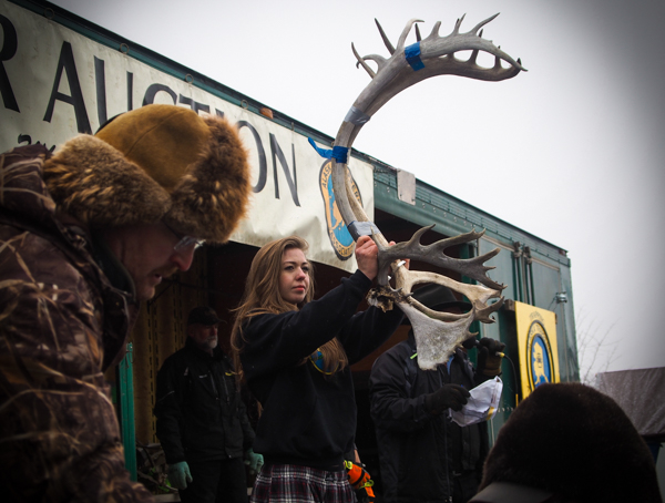 Handsome antlers sold for around $175 a pair. Auction buyers often sell raw antlers to artists to use as raw material. Smaller pieces that were cut up for easier transport were kept in plastic totes and auctioned by the pound. (Photo: Zachariah Hughes, KSKA)