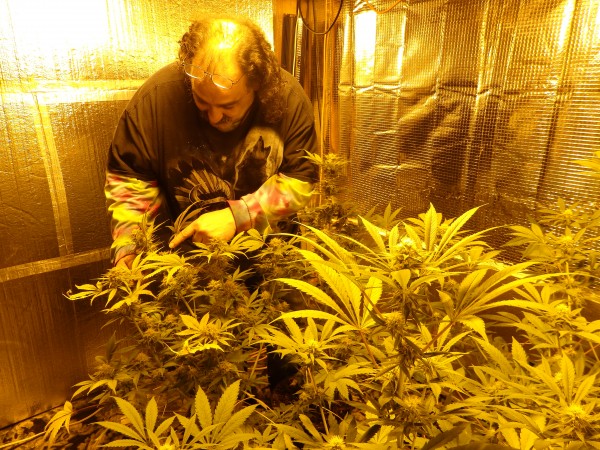 Dean “Bear” Lari grows six marijuana plants.