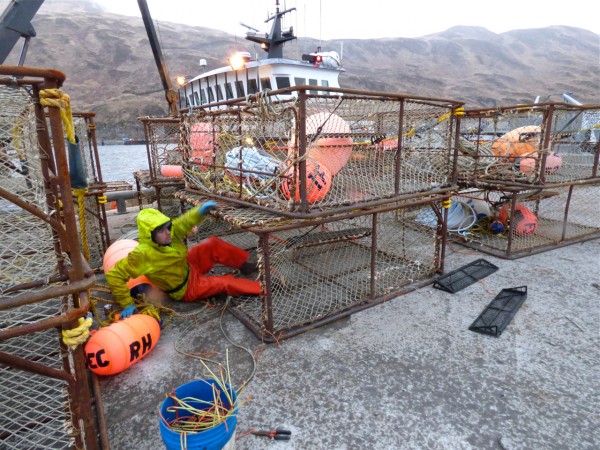 Ryan Fry sets up crab pots outside the F/V Farrar Sea in Unalaska earlier this month. (Annie Ropeik/KUCB)