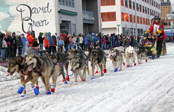 Mitch Seavey at the 2015 Iditarod ceremonial start in Anchorage. (Photo by Josh Edge, APRN - AnchoragE)