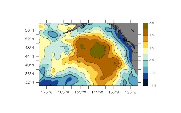 Sea surface temperature anomalies (standard deviations from the mean) in NE Pacific Ocean for February 2014 based on the record from 1981–2010. (Graphic courtesy of American Geophysical Union)