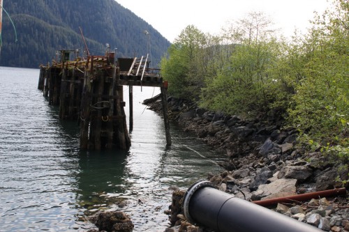 The bulk water ships are too large to dock, so the plan is to anchor them to mooring buoys in Sawmill Cove and run a floating pipeline that will carry the water from the shoreline system. (Emily Kwong/KCAW photo)