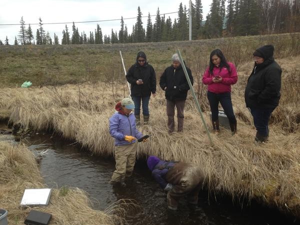 Sue Mauger, Science Director at Cook Inlet Keepers, trains IGAP Coordinators on how to check water temperature on Nielsen Creek near Dillingham. Credit Matt Martin/KDLG