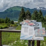 The Steep Creek Trail with its platforms where visitors can view salmon and bears is one of the areas the U.S. Forest Service will start charging people to use starting next summer. (Photo by Heather Bryant/KTOO)