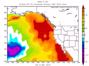 Map showing how the sea surface temperature (SST) anomaly had moved and spread along the West Coast by March 2015. (Image provided by the NOAA/ESRL Physical Sciences Division at Boulder, Colorado)