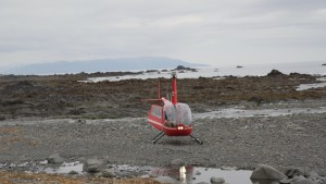 A helicopter lands on Montague Island in Prince William Sound. Photo: Hanna Craig, Alaska Public Media.