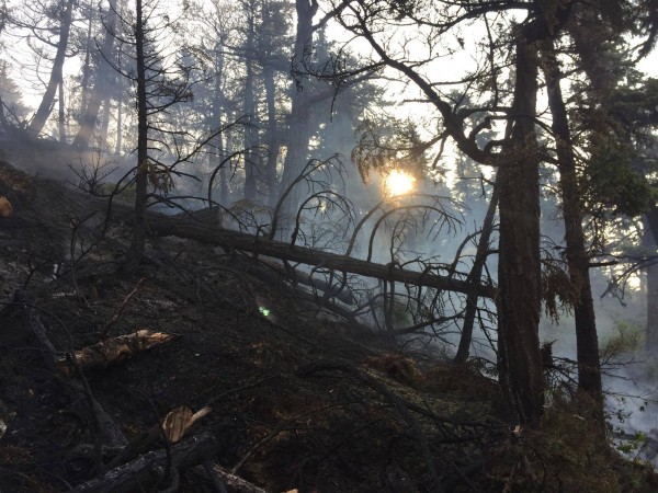 The photo shows a burned area in the Stetson Creek Fire in the Chugach National Forest near Cooper Landing on the Kenai Peninsula, which is now 100 percent contained. Photo: Alaska Division of Forestry. 