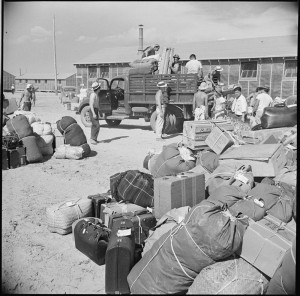 Baggage, belonging to incarcerees arriving from an assembly center at Puyallup, Washington, is sorted and trucked to barracks at the Minidoka internment camp in 1942. PHOTO: FRANCIS STEWART, U.S. DEPARTMENT OF THE INTERIOR