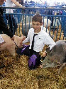 Temujin Horsey had two pigs in Saturday's 4-H livestock auction at the Alaska State Fair: Photo: Liz O'Connell/Frontier Scientists.
