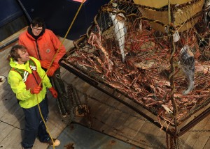 Night shift deckhand David Martindell and biologist Ryan Mong on the US Fish and Wildlife Service research boat M/V Tiglax pull in a substance crab pot with Tanner Crab in the Kuluk Bay area of Adak Island in the Aleutian, in western Alaska, on Sunday, May 31, 2015. (Bob Hallinen / Alaska Dispatch News)