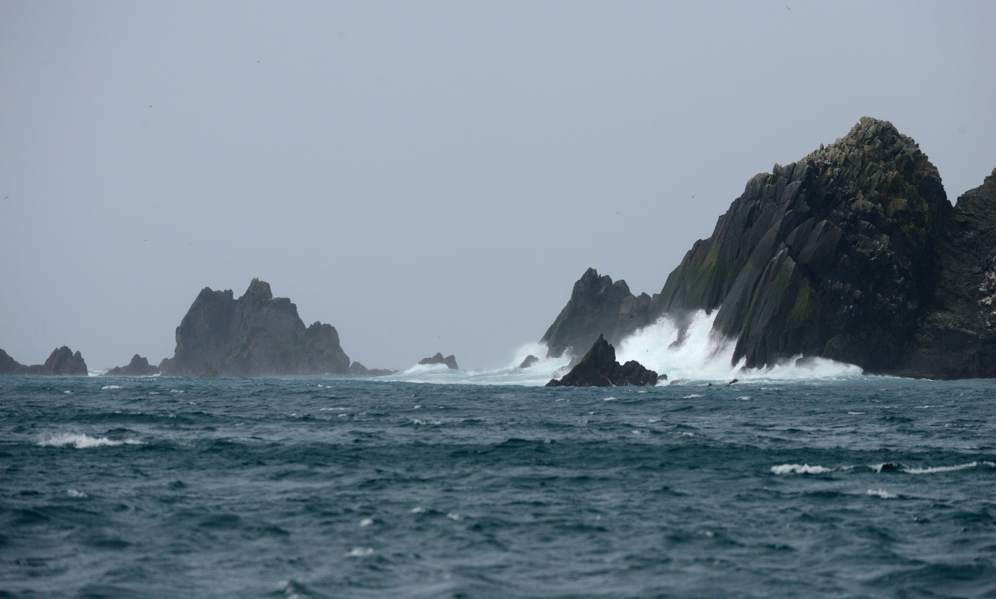 Buldir Island a life changer for seabird researchers