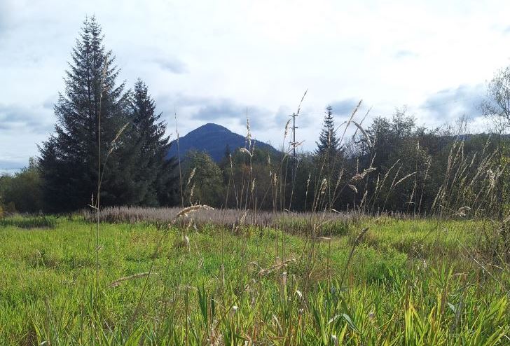 Juneau’s St. Vincent de Paul Society and Seattle-based GMD Development were supposed to break ground on low-income senior housing on this land near the airport. With the partnership over, the land remains untouched. (Photo courtesy St. Vincent de Paul Society)