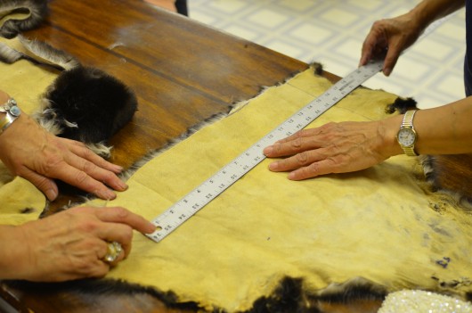 During a sea otter sewing class students measure and cut pieces of hide. Photo: Ruth Eddy/KRBD.